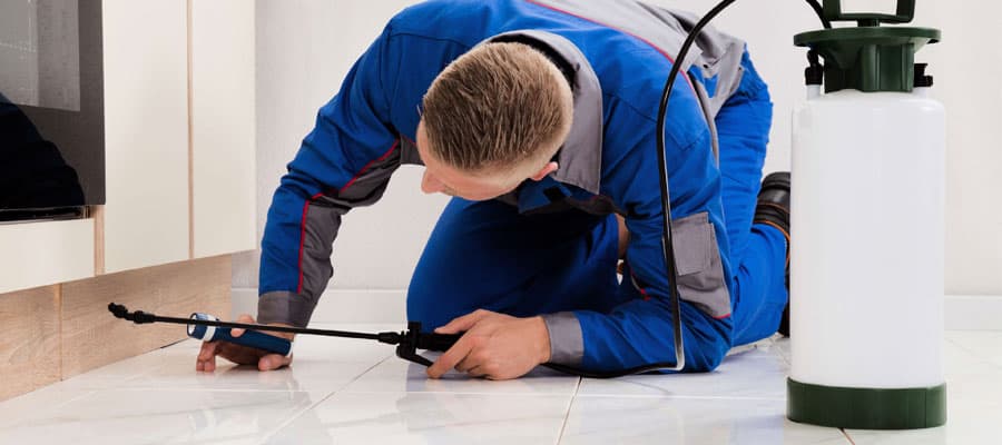 Pest Control & Sanitization